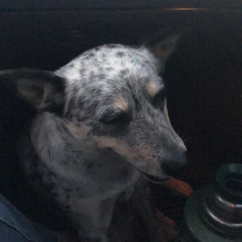 Meet your Posher, Vero